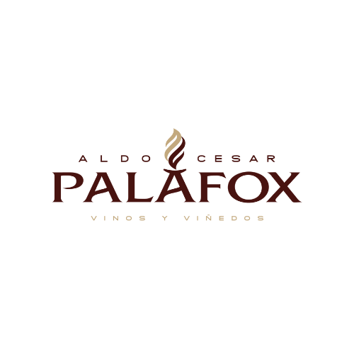 Logo Cliente 4